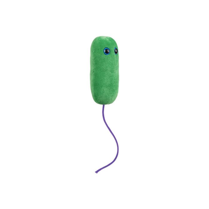 Legionnaires plush angle