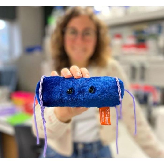Listeria plush model