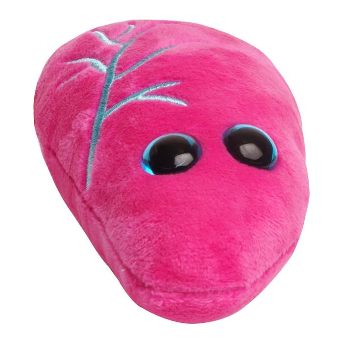 Lung plush pink front