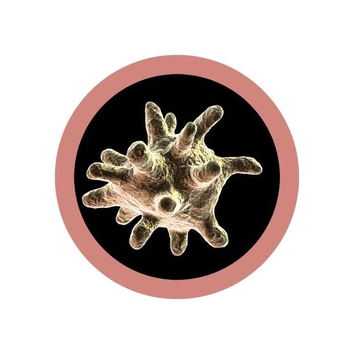 Macrophage microbial