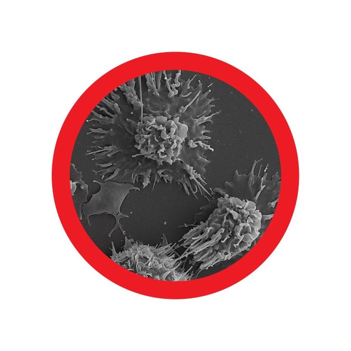 Melanoma microbial