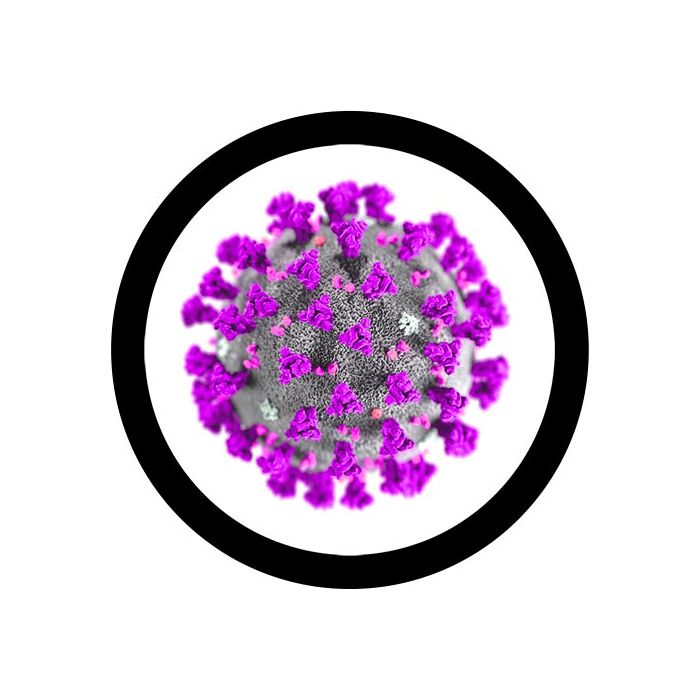 MERS-CoV microbial