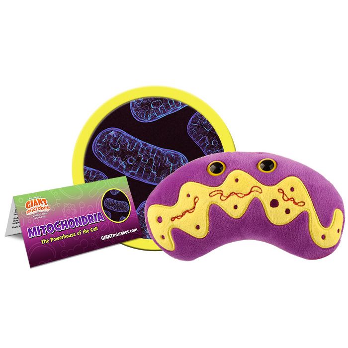 Mitochondria plush cluster