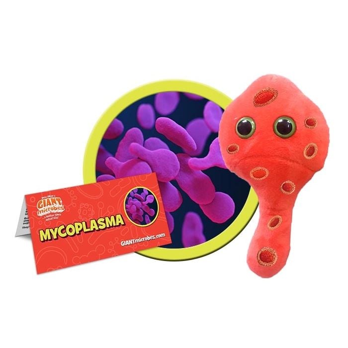 Mycoplasma cluster