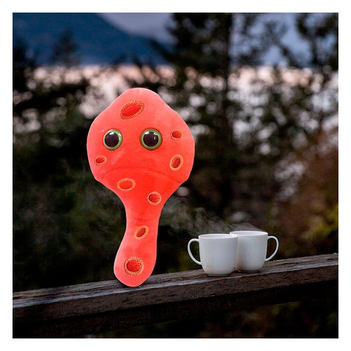 Mycoplasma outdoors