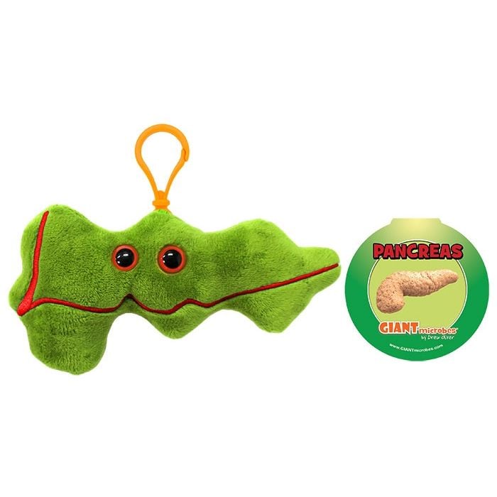 Pancreas with tag