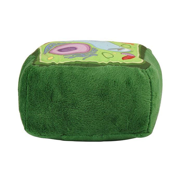 Plant Cell back