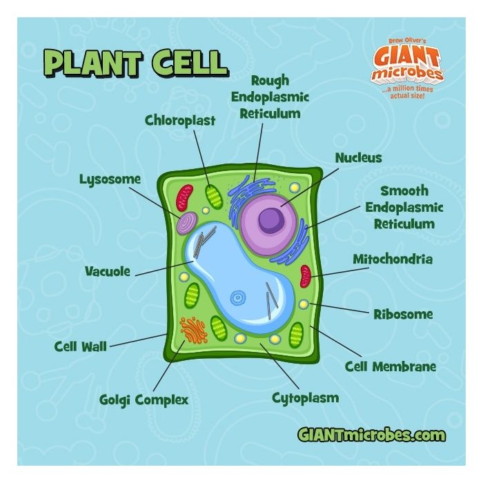 Plant Cell tag