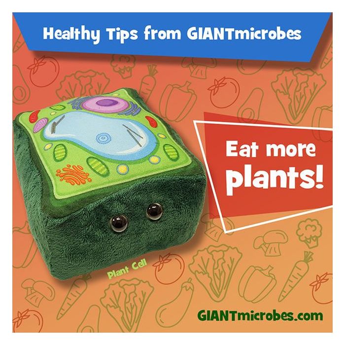Plant Cell healthy tips