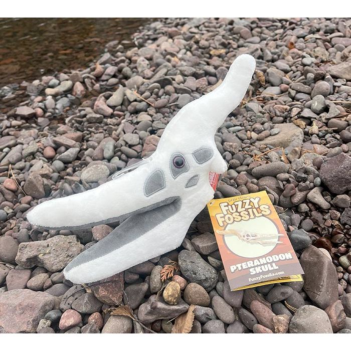 Pteranodon on rocks