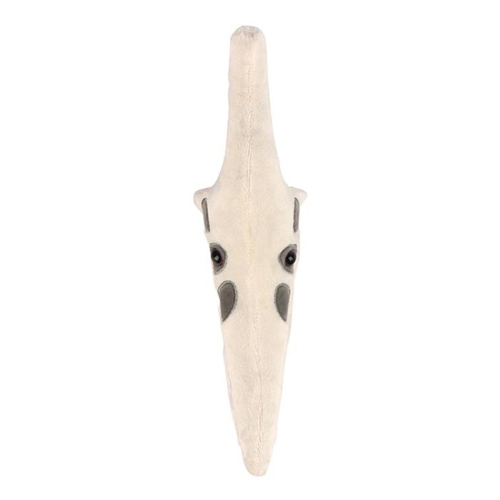 Pteranodon skull plush top
