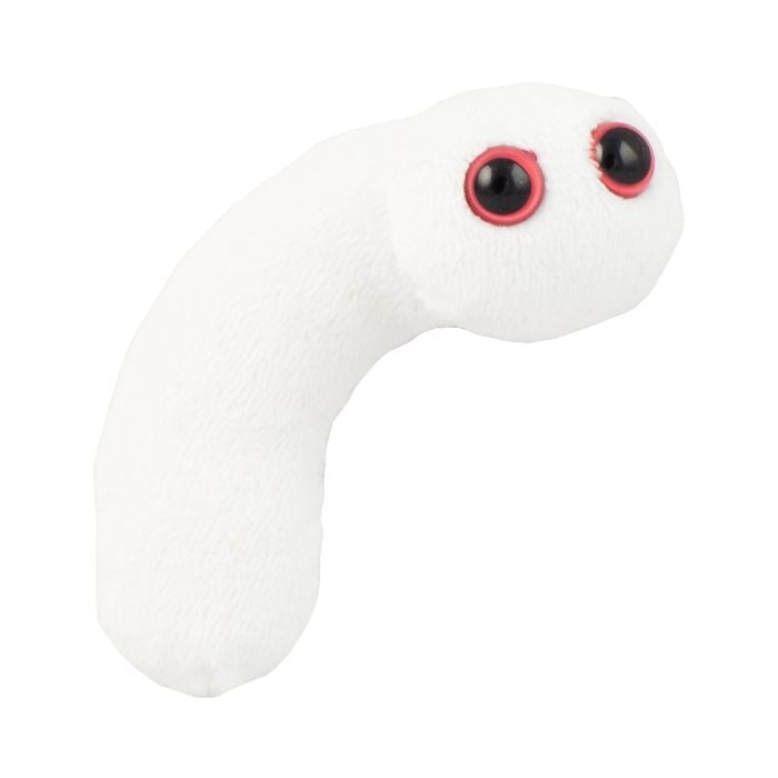 Pus plush doll