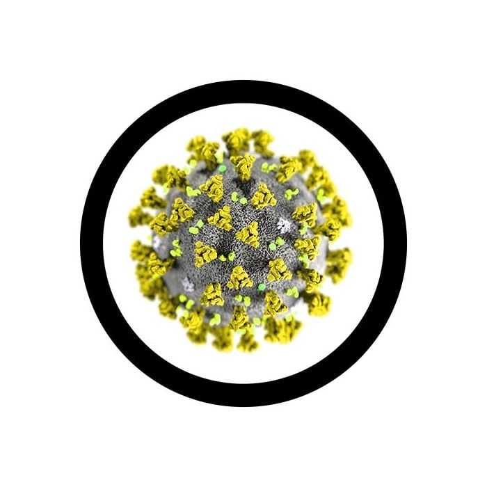 Coronavirus real image