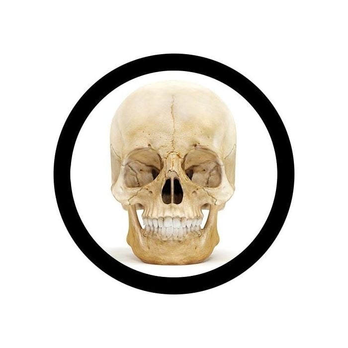 Skull real image