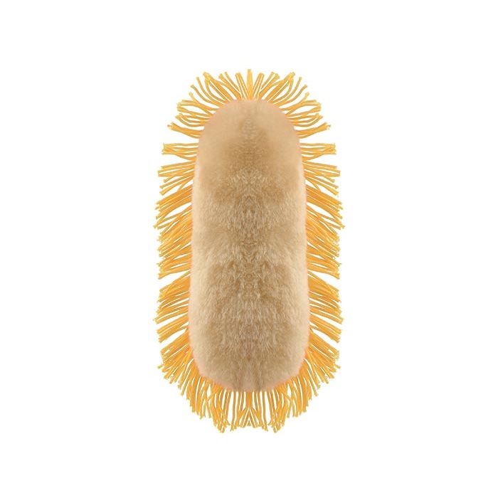 Stomach Ache plush back
