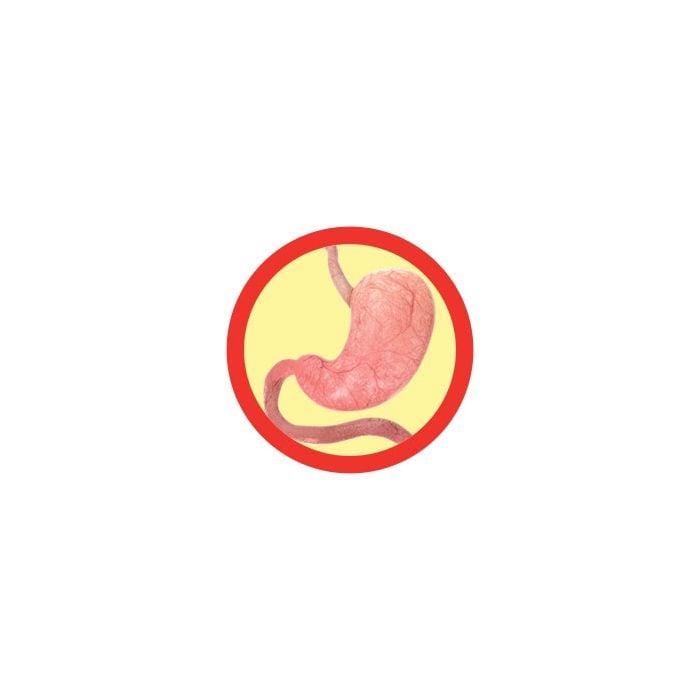 Stomach real image