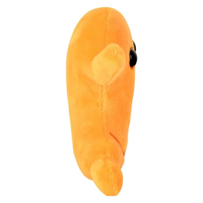 Stomach new plush side Stomach new plush side