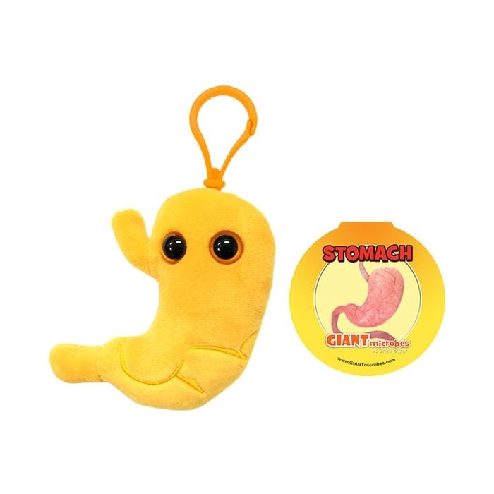 Stomach with tag