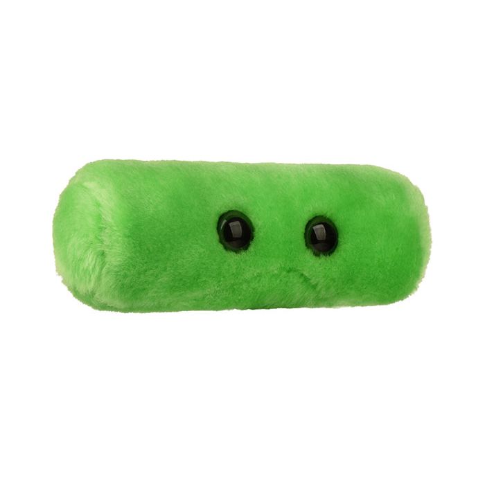 TB plush angle