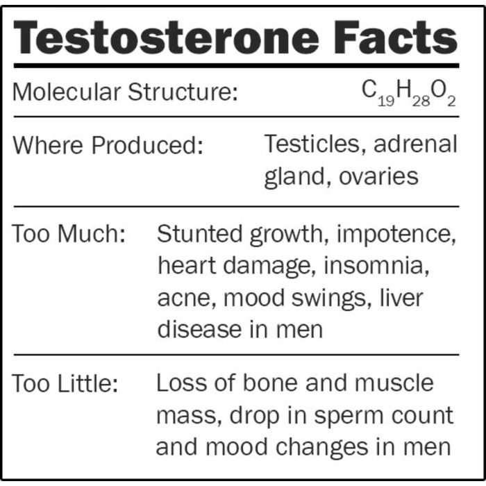 Testosterone facts