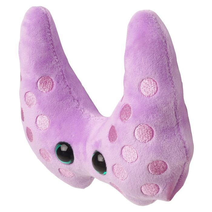 Thyroid plush new angle