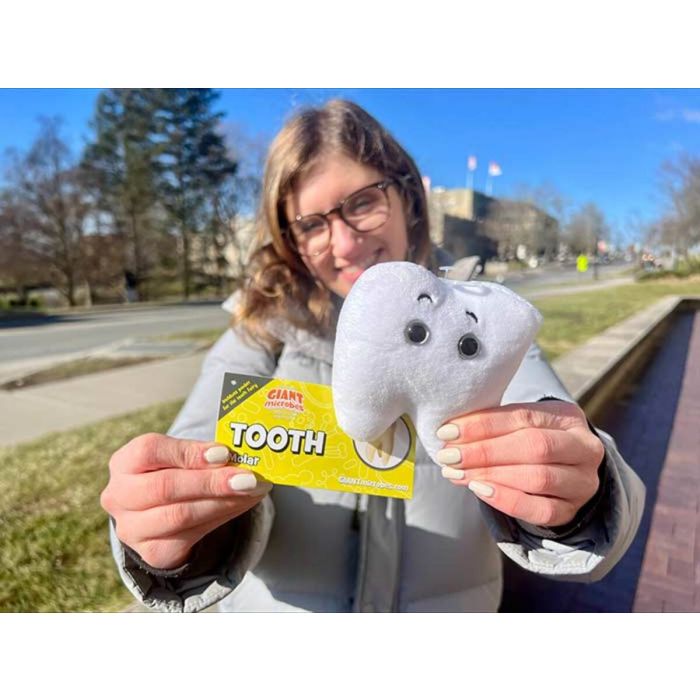 Tooth plush with model