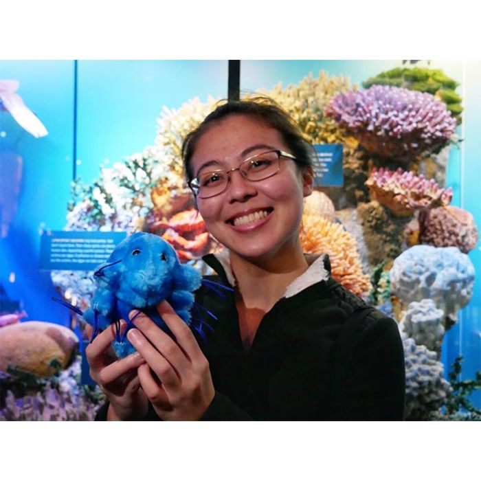 Waterbear aquarium