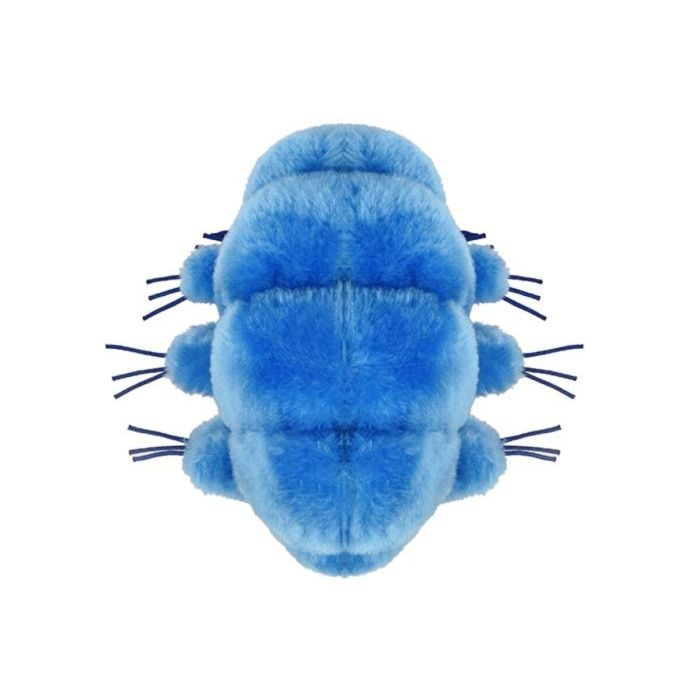 Waterbear plush doll top
