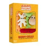 Body Cells