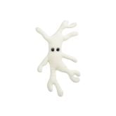 Bone Cell (Osteocyte)