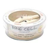 Bone Cell (Osteocyte) Petri Dish