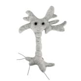 Plush Giant Microbes New Toy Graduation Brain Cell 