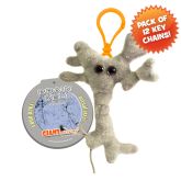 Graduation Brain Cell Key Ring 12 Pack