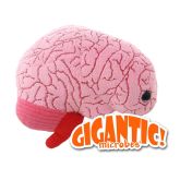 Brain Gigantic 43cm