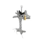 Graduation Brain Cell Plush Doll (Neuron)