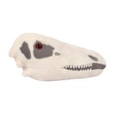 Velociraptor Skull