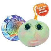 Stem Cell Key Ring 12 Pack