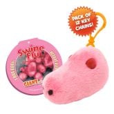 Swine Flu Key Ring 12 Pack