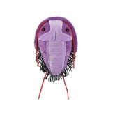 Cambrian Creatures 4-pack