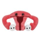 Uterus