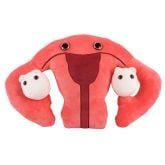 Uterus Gigantic