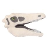 Diplodocus Skull