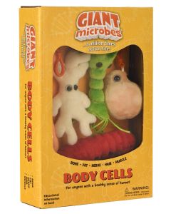 Body Cells box angle