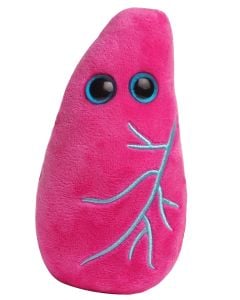 Lung plush keychain