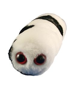 Mad Cow (Bovine Spongiform Encephalopathy)