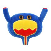 Bladder