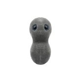 Clap - Gonorrhea (Neisseria gonorrhoeae)