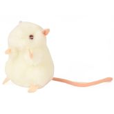 Black Lab Mouse (C57BL/6)