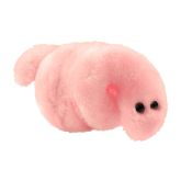 Clap - Gonorrhea (Neisseria gonorrhoeae)