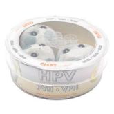 HPV (Human papillomavirus) Petri Dish
